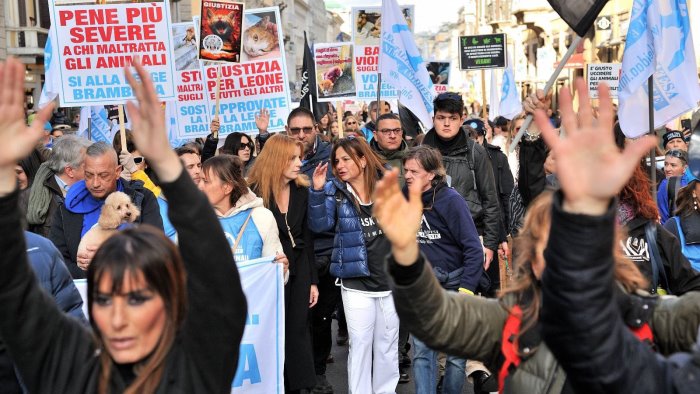 giugliano in campania cani abbandonati sotto il sole oggi la protesta