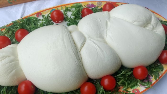 latte bufalino in calo l appello di coldiretti campania