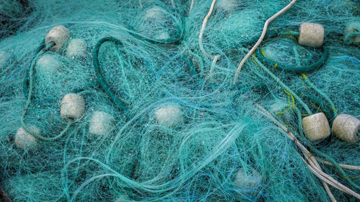 pesca in campania reti pesca sostituite gratis per la tutela del mare