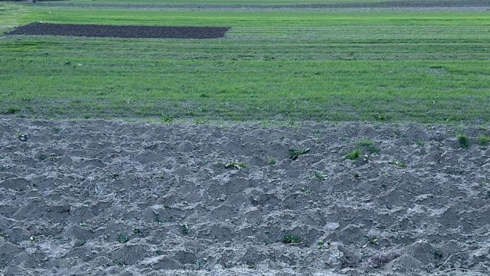 azioni in rete per l agricoltura del futuro focus a sant angelo dei lombardi