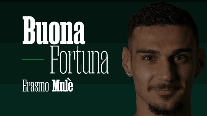 avellino mule ceduto al guidonia montecelio