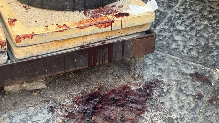 lite tra nordafricani nella notte far west nel centro storico di salerno