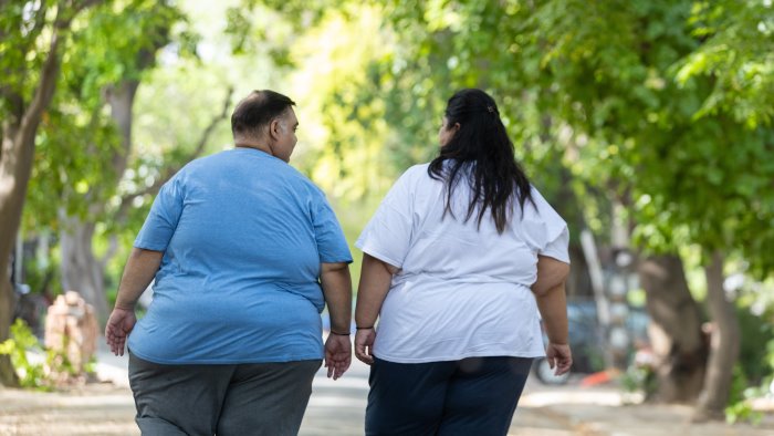 grasso buono e grasso cattivo uno studio ne rivela l origine in famiglia