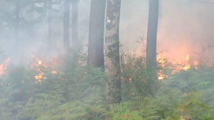 incendi fiamme nei boschi di serino