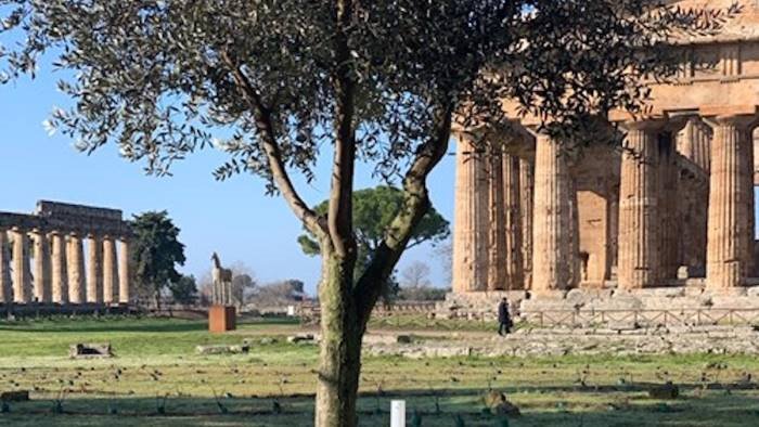 gillo dorfles torna a paestum con le sue opere d arte