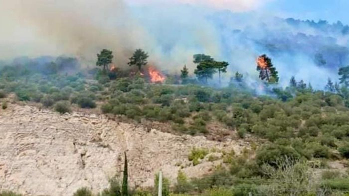 ancora fiamme in provincia di salerno vasto incendio a sarno