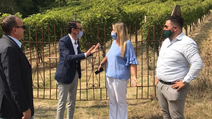 aufiero riprendiamoci l irpinia per un futuro migliore