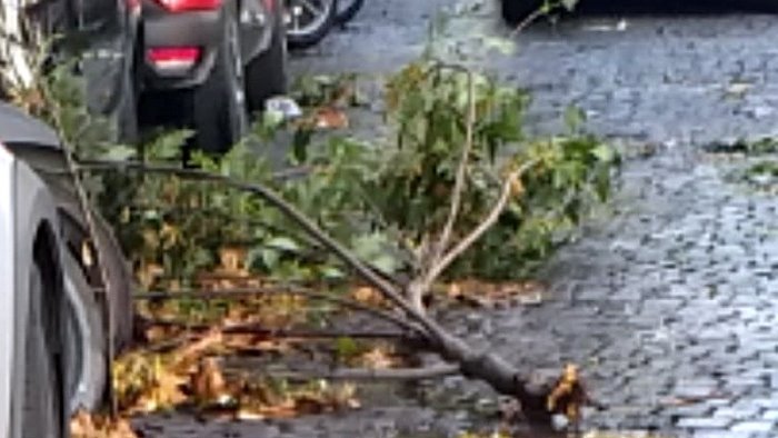 napoli al vomero alberi danneggiati dal temporale