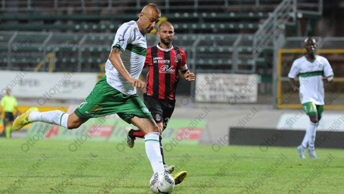 calciomercato avellino le ultime su castaldo e di paolantonio