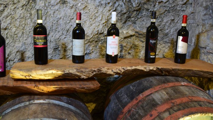a castelfranci la nuova casa del vino punto di riferimento per produttori
