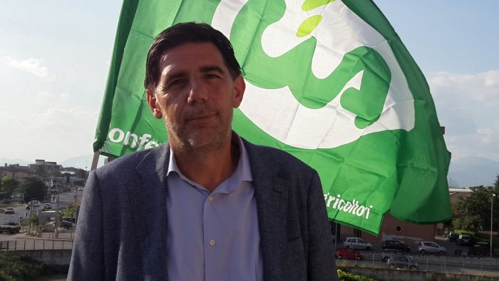 impennata prezzi delle materie prime subito un tavolo in regione