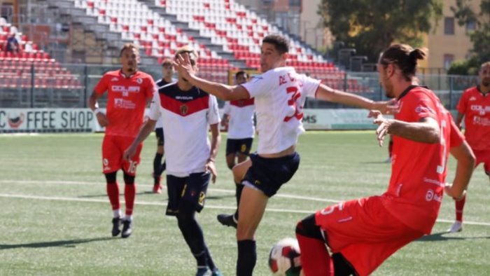 vibonese turris la probabile formazione dei corallini