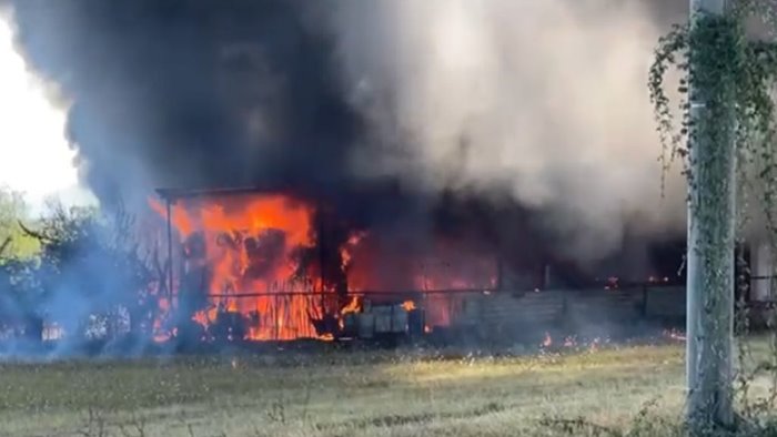 capannone in fiamme all interno anche alcuni animali