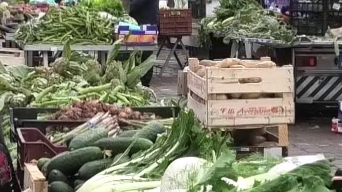 incremento rincari produttivi l impatto sul settore ortofrutticolo e allarmante