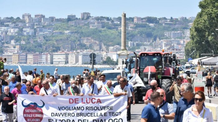 vertenza bufale il coordinamento scrive ai sindaci la verita ve la diciamo noi