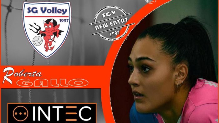 intec service sg volley dal mercato arriva roberta gallo