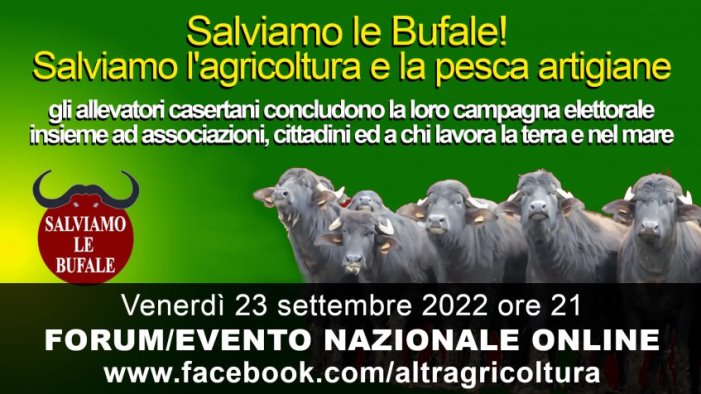 vertenza bufalina no alle speculazione delle multinazionali e del malgoverno