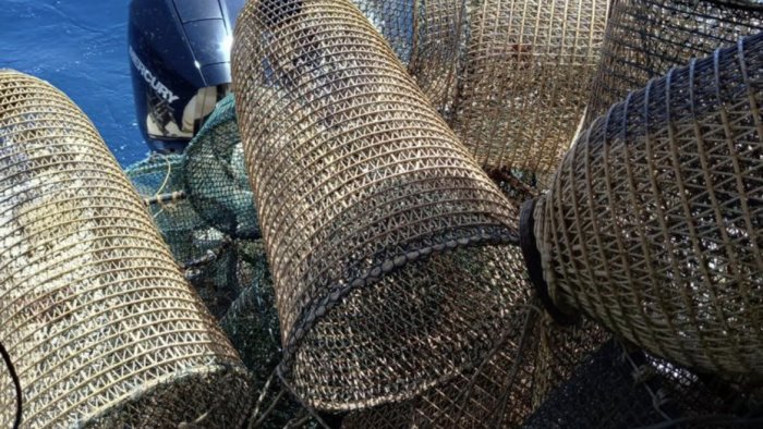 attrezzi da pesca usati illegalmente sequestro ad acciaroli