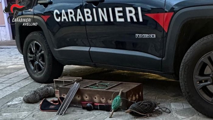 vallata in auto con otto cardellini e attrezzi per la cattura denunciato