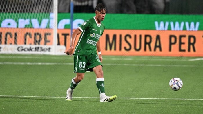 avellino monza 2 1 tabellino e voti dei lupi