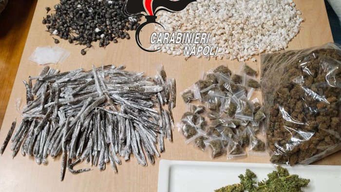 la piantagione di cannabis nascosta a matrioska nella parete un arresto