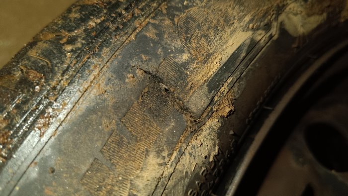 mercogliano forate le gomme di 15 cercatori di funghi ad acqua fidia