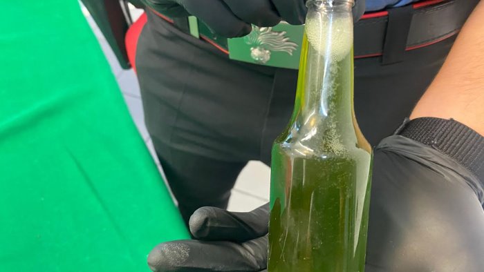 liquore alla marijuana sequestrate decine di bottiglie arrestato 24enne