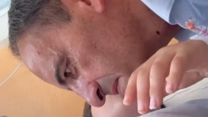 bimbo aggredito da un pitbull il sindaco vere bestie sono i padroni