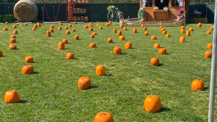 casamarciano riapre mariland il paese delle zucche
