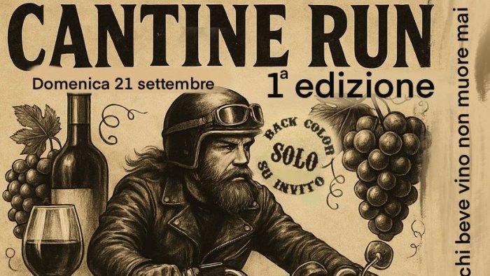 cantine run domenica prima edizione tra gusto tradizioni e unicita