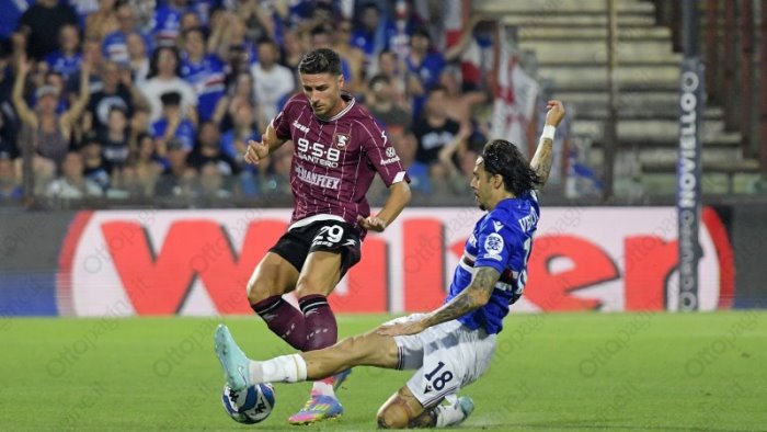 salernitana caos samp quell esposto del club granata ritornato attuale