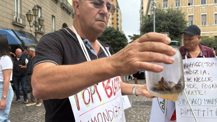 napoli blatte davanti al comune protesta choc del movimento idea sociale