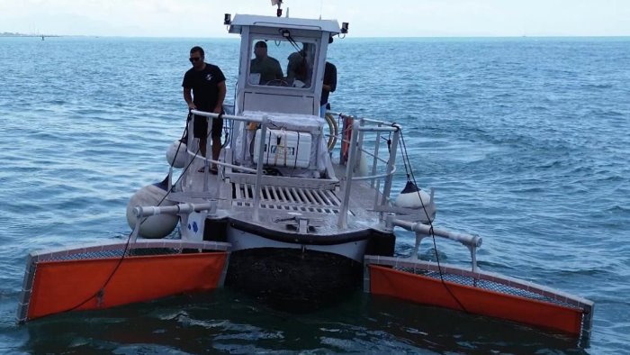 plastica monouso ma anche tronchi e schiuma il bilancio dello spazzamare