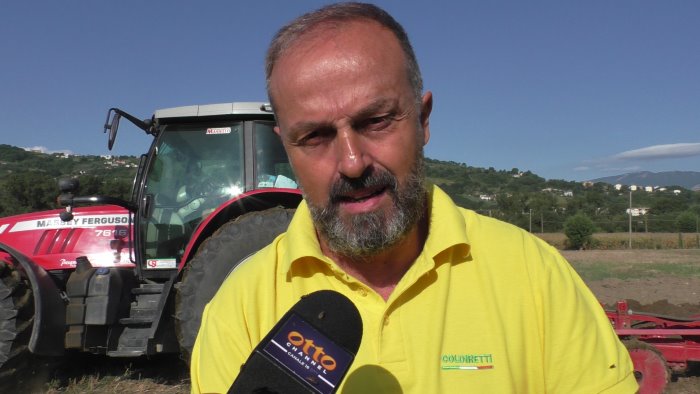 masiello siamo in trincea per difendere il nostro popolo del grano