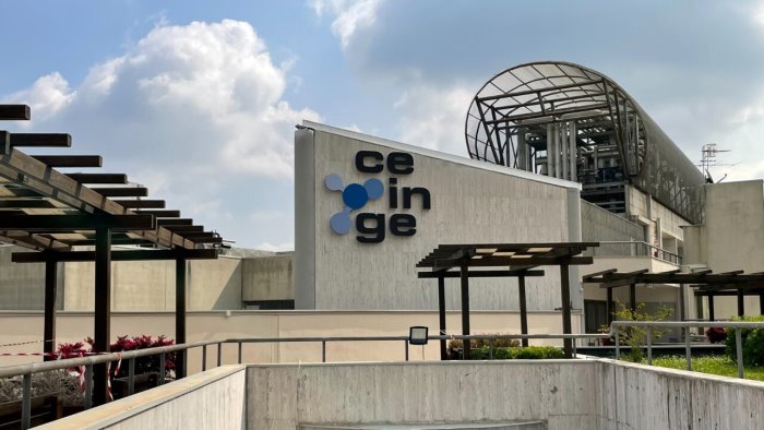 tumori cerebrali al ceinge di napoli la diagnosi con profilazione molecolare