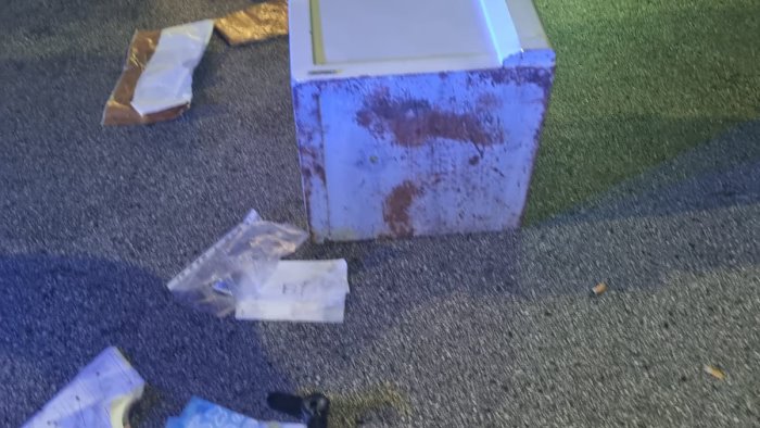 rubano cassaforte in gioielleria ma l audi e troppo stretta per accoglierla