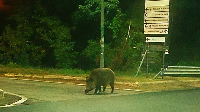 ariano prestate attenzione lungo la variante