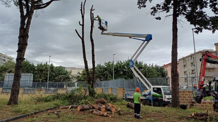 salerno via al piano biennale per la manutenzione delle alberature