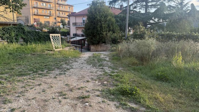 ariano stanno morendo uno dopo l altro tutti i miei gatti