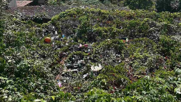 napoli giardini nino taranto ancora degrado e abbandono