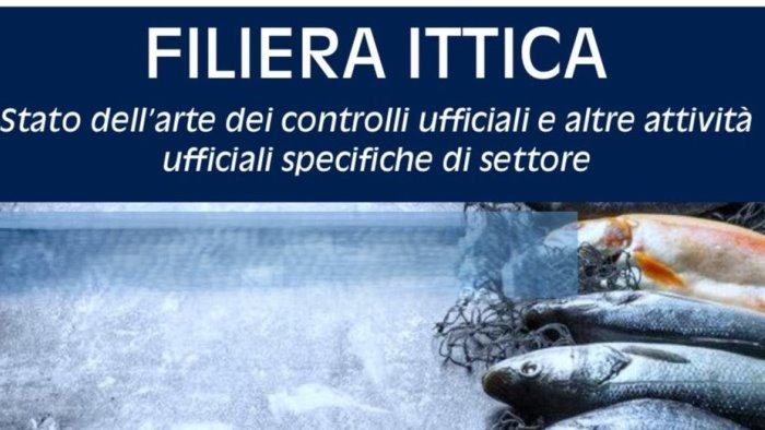 asl avellino controlli nella filiera ittica focus del dipartimento prevenzione