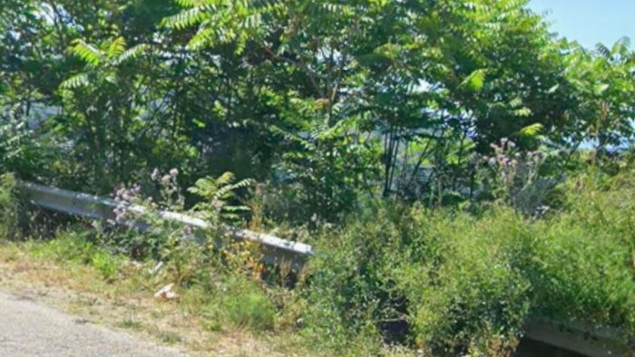 tommasetti strada provinciale 94 in balia del degrado la provincia intervenga