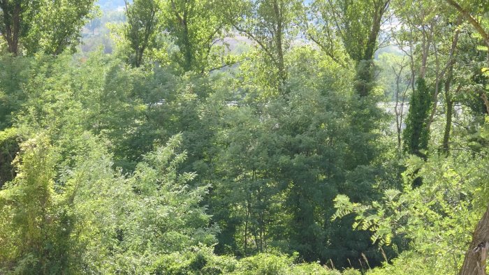 la stagione della caccia in campania assalto alla biodiversita e sicurezza