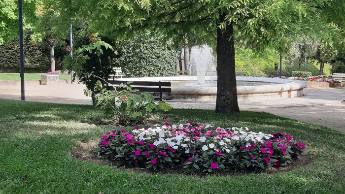 biofestival d irpinia ad ariano quattro giornate all insegna del buon gusto