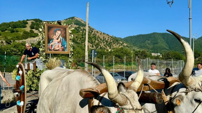 il carro della madonna delle grazie diventa patrimonio immateriale della regione