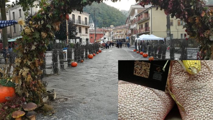 festa del fagiolo quarantino volturara amplia spazi e attivita